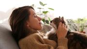 ¿Querés adoptar a un gato? 7 datos increíbles que te harán amar aún más a estas mascotas