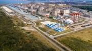 Se paraliza la mayor central nuclear de Francia por la presencia masiva de medusas