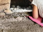Impresionante hallazgo: realizaban una excavación y encontraron tres “casas de Hadas” de más de 5.000 años de antigüedad