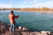 Cómo reconocer y pescar el pez exótico que vino del Atlántico en el río Limay: qué hacer si lo capturas
