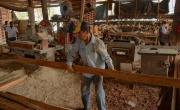 La principal maderera de Corrientes paraliza su actividad y suspende a 520 trabajadores