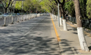 El verdadero motivo detrás de pintar de blanco los troncos de los árboles