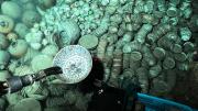 El descubrimiento de dos barcos con centenares de reliquias que sorprendió a los especialistas