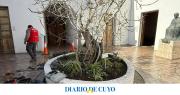 Casa de Sarmiento: científicos recomiendan regar menos el jardín porque eso la daña