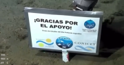 Se viene otro streaming del CONICET: cuándo comenzará a transmitir la próxima cámara submarina