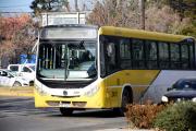 Denuncia de una pasajera obligó a cambios en los colectivos de Plottier: qué dijo la municipalidad