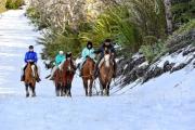 San Martín de los Andes: diez excusas perfectas (y una más) para una escapada a la cordillera
