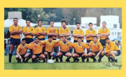 Canarios de oro: se cumplen 30 años del histórico campeonato de La Plata Rugby Club