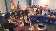 Comisión de Economía Plural de Diputados inicia sesión para tratar contrato de litio