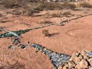 Misterio en Neuquén: apareció una cruz gigante hecha con vidrio molido y metales en el Parque de los Dinosaurios