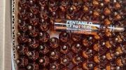 Fentanilo contaminado: ya son 96 las víctimas fatales y localizaron las ampollas que faltaban