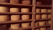 Alerta por un brote de listeriosis causado por el consumo de un queso contaminado
