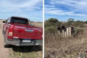 Imprevisto en ruta: jaula con ganado se desprende y causa la muerte de un animal