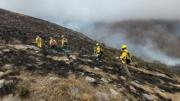 Tarija: El Sernap confirma que el fuego en Sama arrasó 11.250 hectáreas