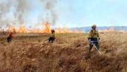 Incendio arrasa más de 14 mil hectáreas en el Noel Kempff