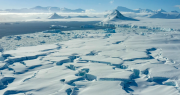 Tétrico hallazgo en un glaciar derretido en la Antártida: qué encontraron