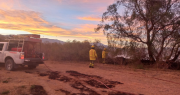 Un incendio generó alarma en Jáchal, pero el rápido accionar de Bomberos evitó un desastre