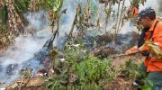 De 174 procesos por incendios forestales de 2024, solo siete llegaron a sentencia