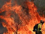 Con pronósticos de 44 grados, la ola de calor avanza en el sur de Europa: incendios, muertos y evacuados