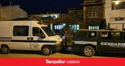 Decomisan en Tierra del Fuego 55 plantas de marihuana