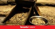 El Precio del Oro en Ascenso: ¿Qué Significa para Inversores?