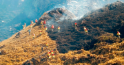 Protocolo interinstitucional pondrá un alto a los incendios forestales