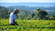 Baja parcial de las retenciones para el agro: “Tampoco le cierran los números al productor”