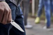 Apuñaló al perro de su vecina tras una pelea entre mascotas y fue detenida