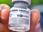 La vacuna contra la fiebre amarilla dejó de ser gratuita