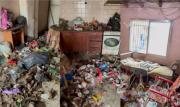 Allanaron la casa de un acumulador de basura en Neuquén: rescataron ocho animales de la vivienda