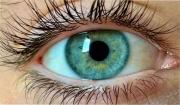 ¿Lo reconocés?: “Olo”, el misterioso color que solo cinco personas en el mundo pudieron ver
