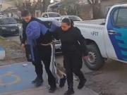 Locura en Mar del Plata: apuñaló al perro de su vecina porque había mordido a su caniche