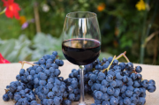 Las regiones con los Pinot Noir mejor estimados del mundo