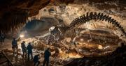 El descubrimiento arqueológico del siglo: el hallazgo de un fósil inédito de dinosaurio obliga a reescribir la historia evolutiva