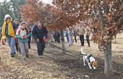 El privilegio de vivir una cacería de trufas en El Bolsón: un tesoro bajo el bosque