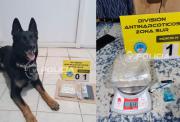 Detienen a un pasajero con más de medio kilo de cocaína en la Ruta 237: un perro detectó la droga