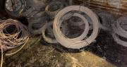 Allanan casas de Pocito y se topan con elementos robados y gran cantidad de aves en cautiverio