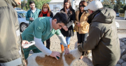 Esterilización, vacunación y chipeo de mascotas gratis: dónde se podrán realizar en San Juan en los próximos días