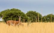 La maravilla oculta de La Pampa: esta es una escapada perfecta para un fin de semana