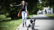 No sufras en el paseo: el truco para evitar que tu perro tire de la correa