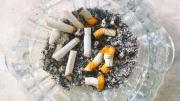 Quién tiene colillas de cigarrillo en casa, tiene un tesoro para sus plantas: por qué y para qué sirve