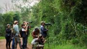 Misiones se consolida como destino para observación de aves y lanza su primer encuentro internacional