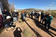 Una bodega de Neuquén inyectará energía solar a la red eléctrica: de qué se trata el primer usuario-generador