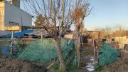 Detenido: golpeó a su novia, la encerró, incendió la casa y los vecinos la rescataron