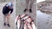 En imágenes: la bronca y el escrache a los pescadores de un arsenal de truchas arcoíris