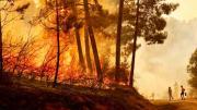España: el fuego no da tregua en 38 focos y arrasa más de 110 mil hectáreas