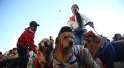 “Patitas del Bicentenario”, un festejo adelantado por el Día del Perro