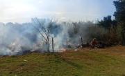 Baradero: bomberos combatieron tres incendios forestales en menos de una semana