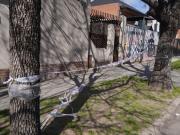 Por favor, que alguien haga algo: el desesperado ruego del hijo de la mujer asesinada en La Matanza