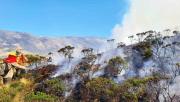 Controlan incendio de gran magnitud en el parque Carrasco